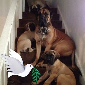 Meet your Posher, Daren